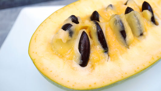 Premium Genetics Pawpaw Seeds – Grow Exceptional Native Fruit Trees! 🌱🍮